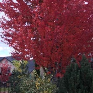 Meet your Posher, Jerri